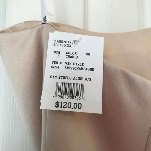 David’s Bridal Gown - Picture 5 of 6